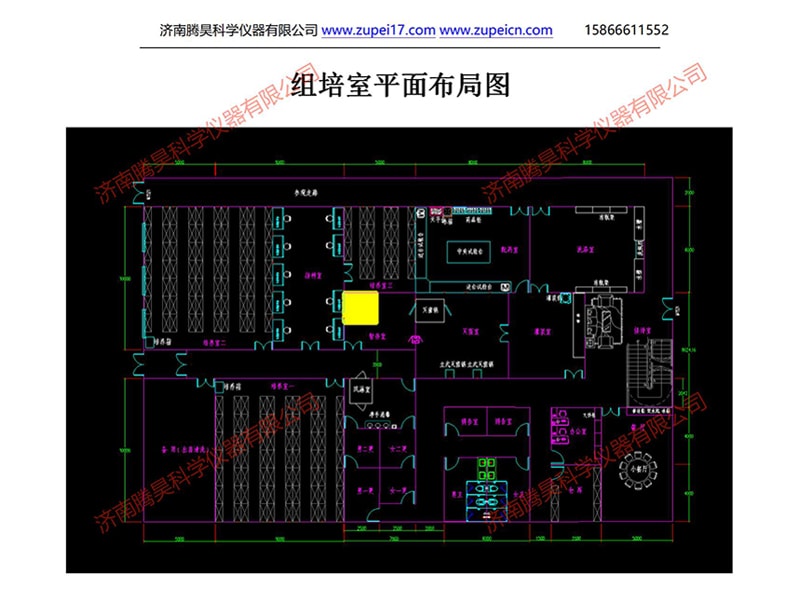 哔咔漫画APP官网进入室
