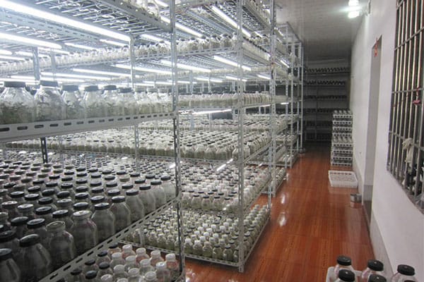 哔咔漫画APP官网进入室