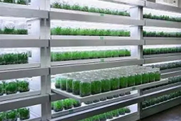 哔咔漫画APP官网进入室