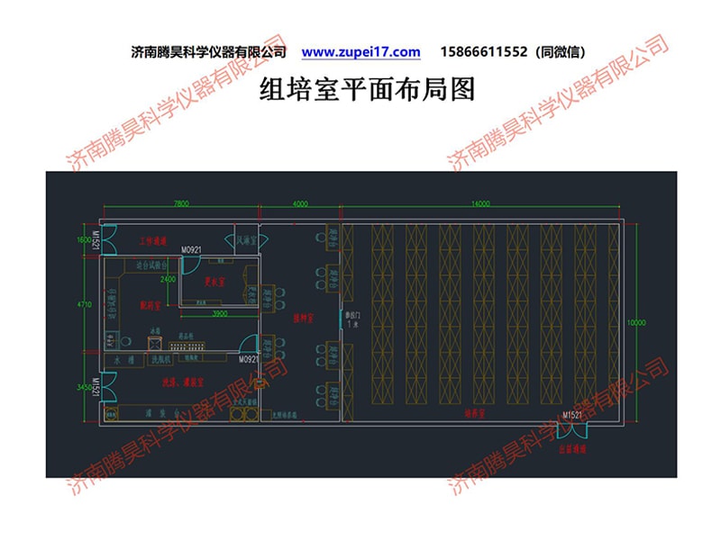 昆明人参果哔咔漫画APP官网进入室建设方案