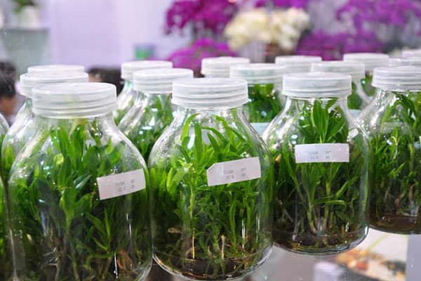 哔咔漫画APP官网进入瓶厂家