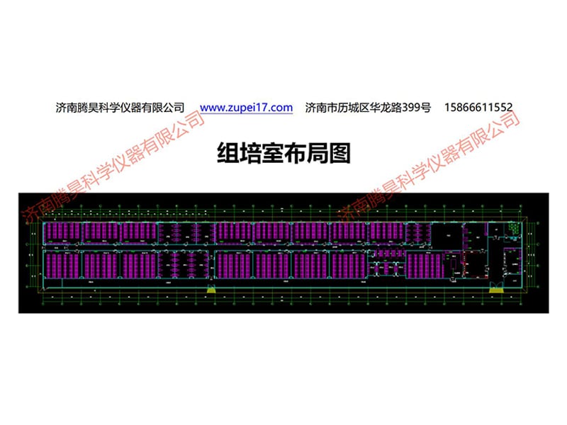 浙江植物哔咔漫画APP官网进入实验