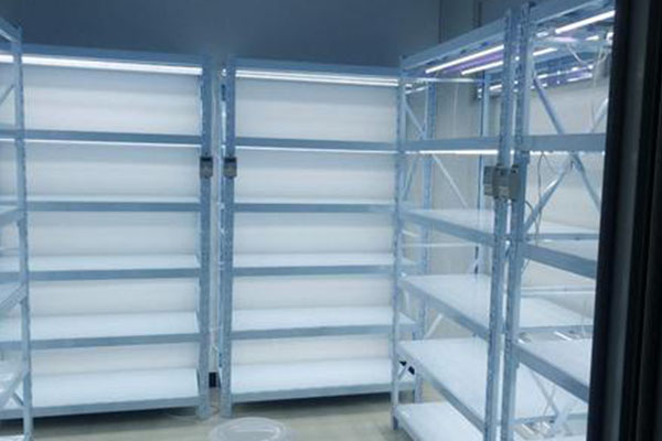 哔咔漫画APP官网进入架