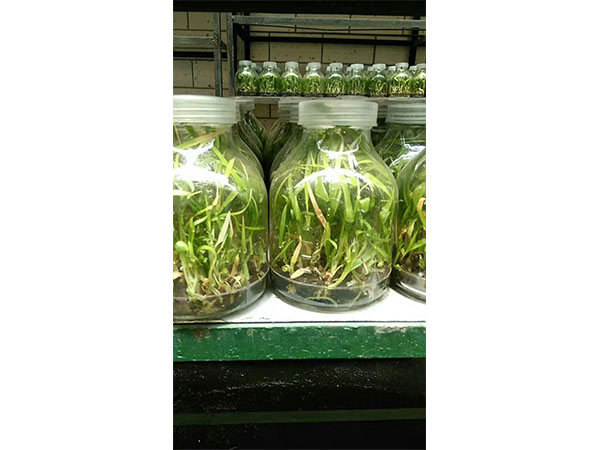 哔咔漫画APP官网进入实验室