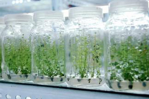 哔咔漫画APP官网进入仪器