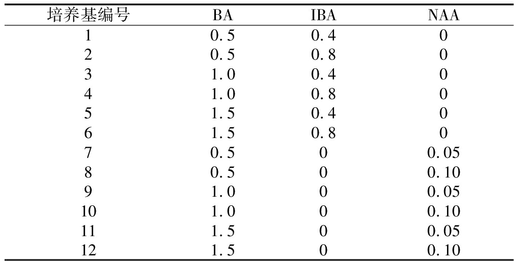 哔咔漫画APP官网进入室设计