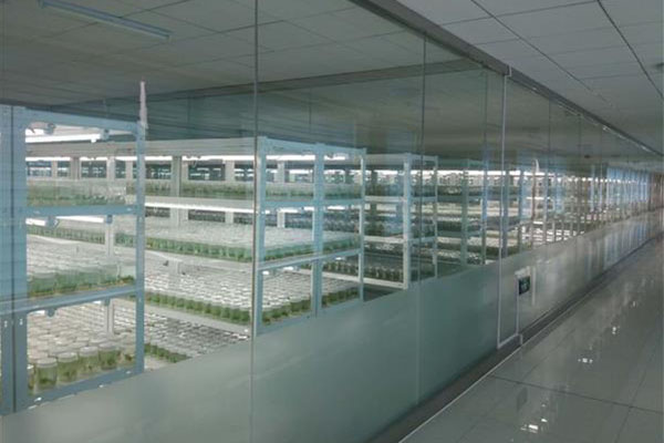 哔咔漫画APP官网进入室