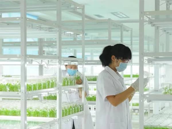 哔咔漫画APP官网进入架