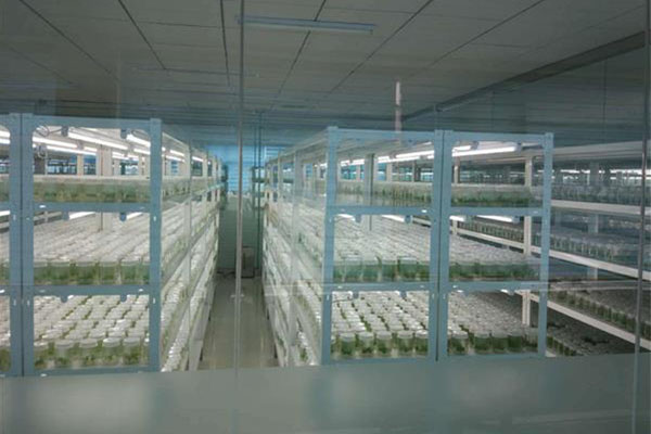 哔咔漫画APP官网进入室