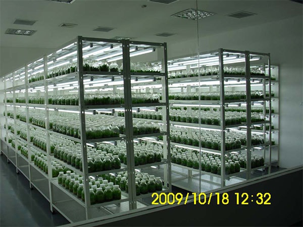 哔咔漫画APP官网进入室设计