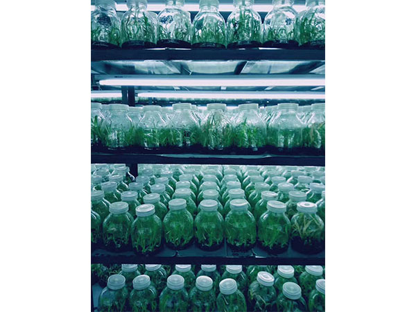 哔咔漫画APP官网进入