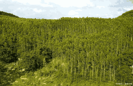 哔咔漫画APP官网进入