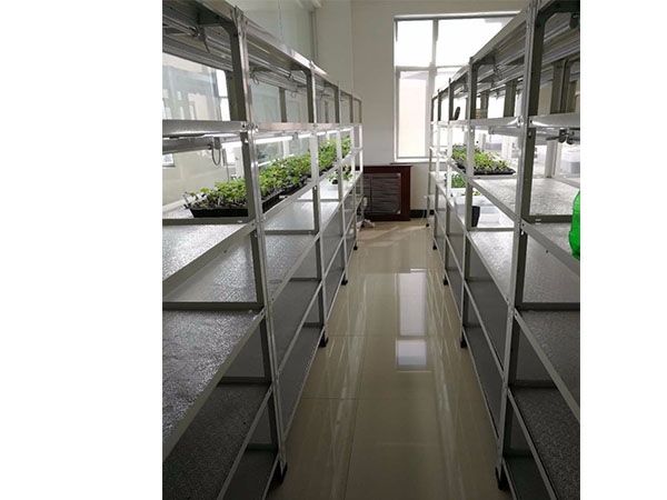 哔咔漫画APP官网进入室设计