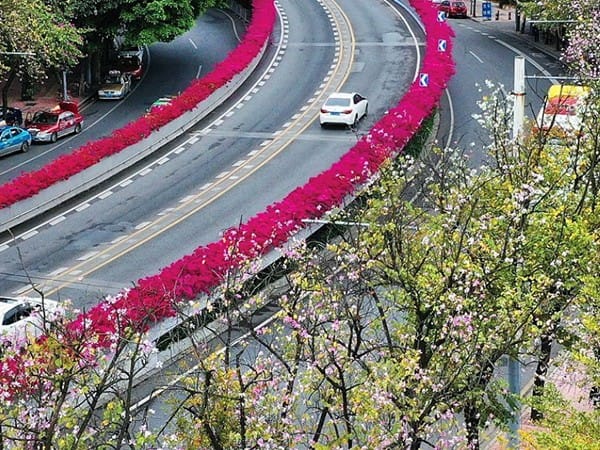 哔咔漫画APP官网进入