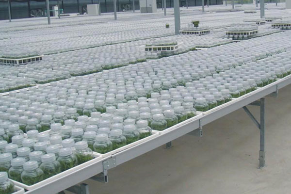 哔咔漫画APP官网进入室