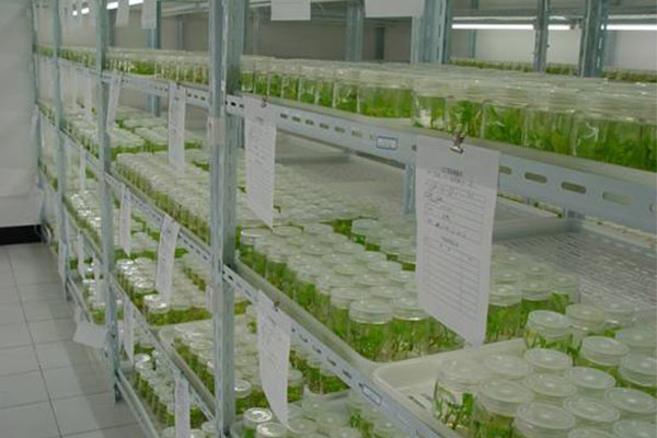 哔咔漫画APP官网进入室