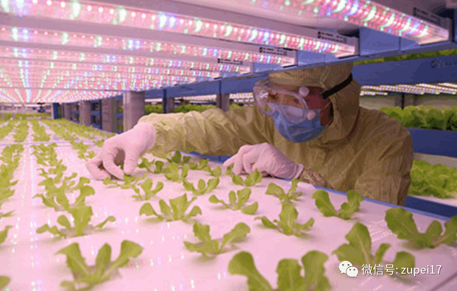 哔咔漫画APP官网进入