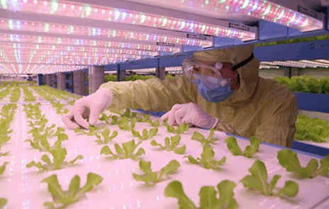 哔咔漫画APP官网进入