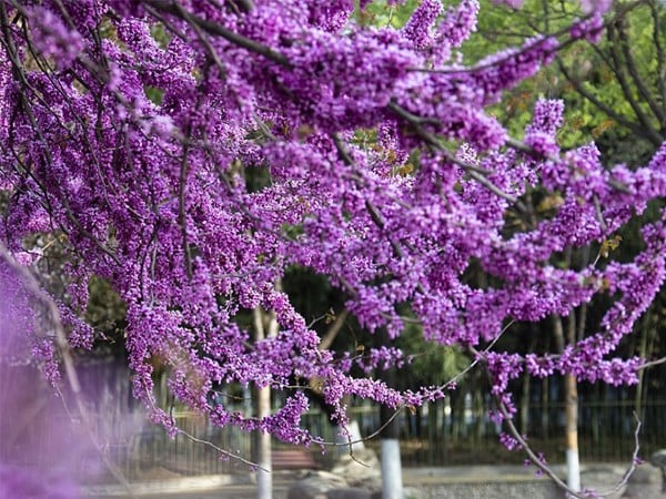 哔咔漫画APP官网进入仪器