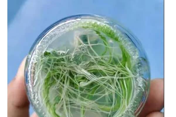 哔咔漫画APP官网进入室