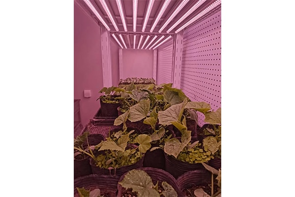 哔咔漫画APP官网进入