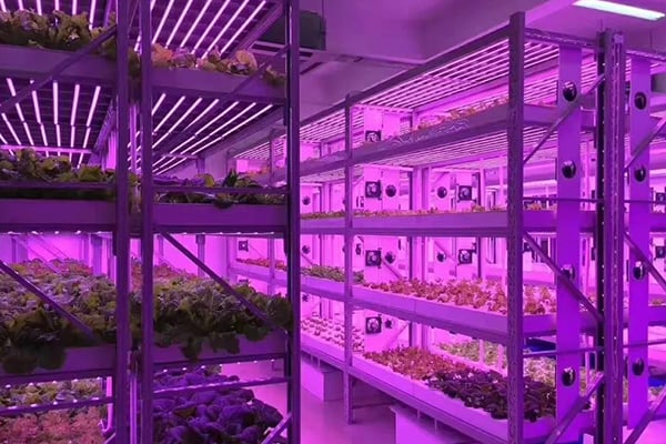 哔咔漫画APP官网进入