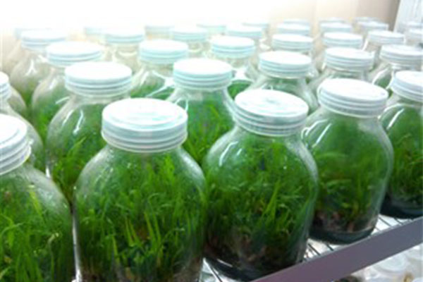 哔咔漫画APP官网进入