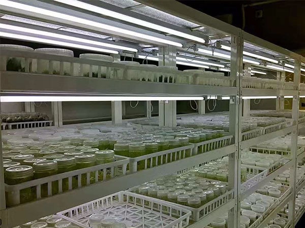 哔咔漫画APP官网进入设备