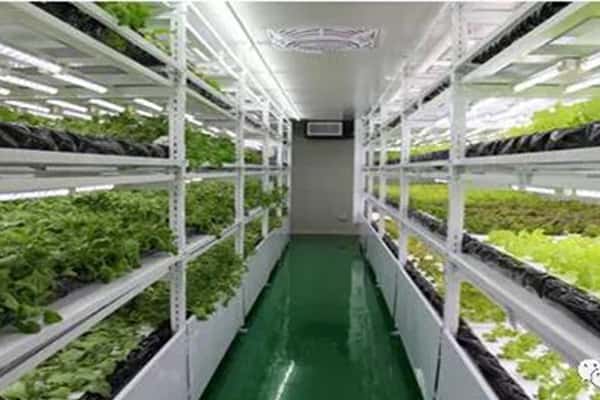 哔咔漫画APP官网进入