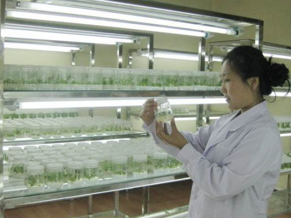 哔咔漫画APP官网进入