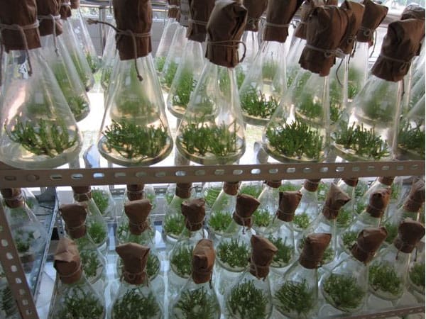 哔咔漫画APP官网进入