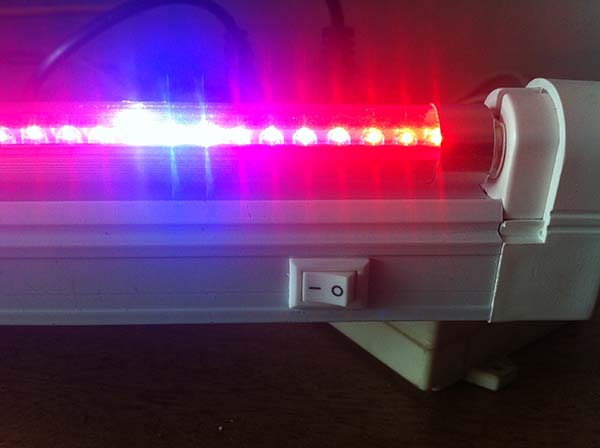 哔咔漫画APP官网进入  哔咔漫画APP官网进入设备