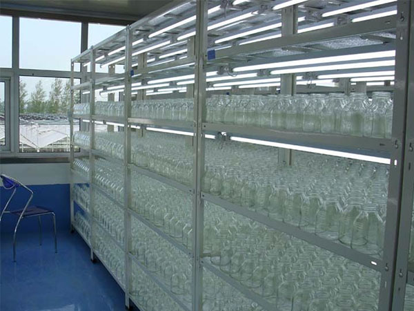 哔咔漫画APP官网进入架