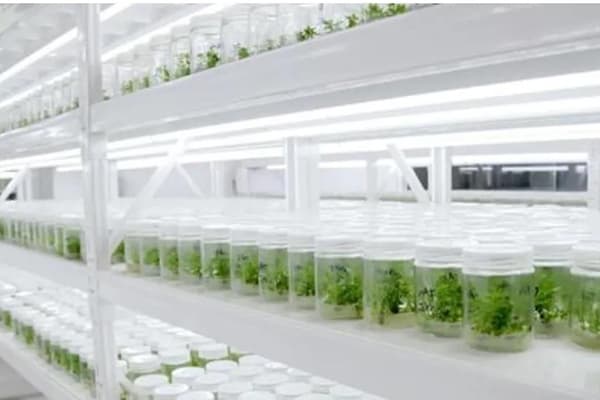 哔咔漫画APP官网进入