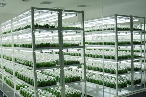 哔咔漫画APP官网进入室净化