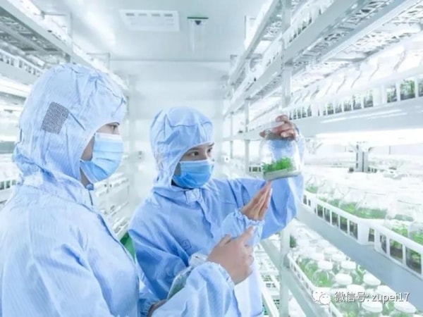 哔咔漫画APP官网进入室建设