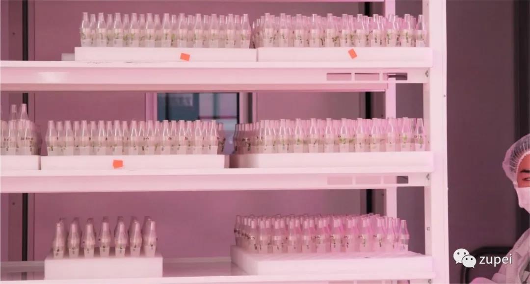 哔咔漫画APP官网进入  哔咔漫画APP官网进入室