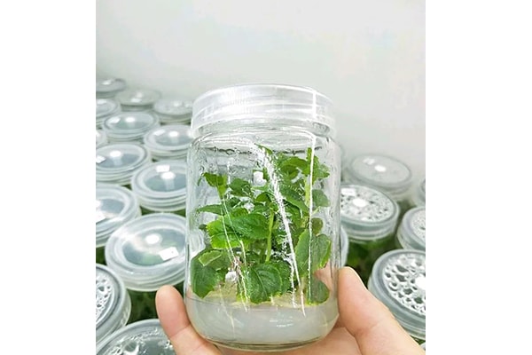 哔咔漫画APP官网进入设备