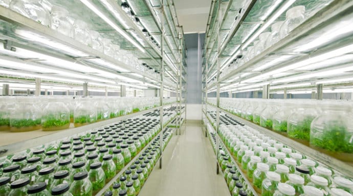 哔咔漫画APP官网进入  哔咔漫画APP官网进入架