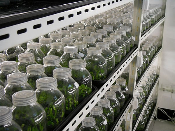 哔咔漫画APP官网进入设备