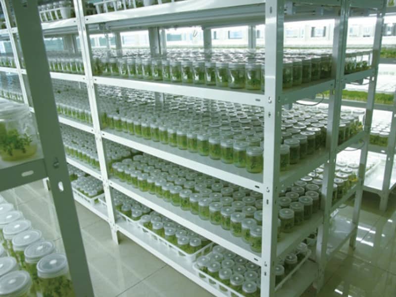 哔咔漫画APP官网进入  哔咔漫画APP官网进入设备