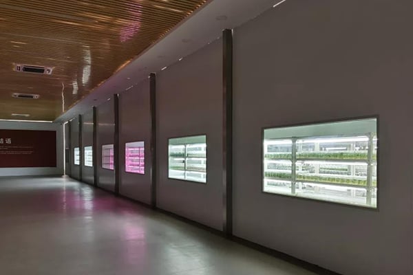 哔咔漫画APP官网进入  哔咔漫画APP官网进入室