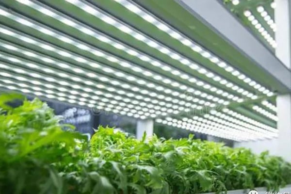 哔咔漫画APP官网进入室建设