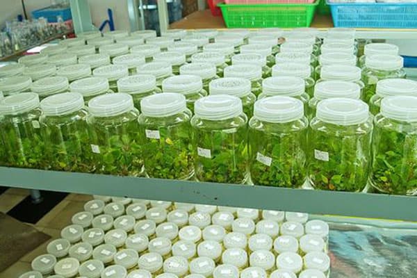 哔咔漫画APP官网进入