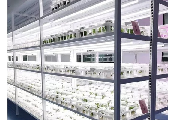 哔咔漫画APP官网进入  哔咔漫画APP官网进入苗