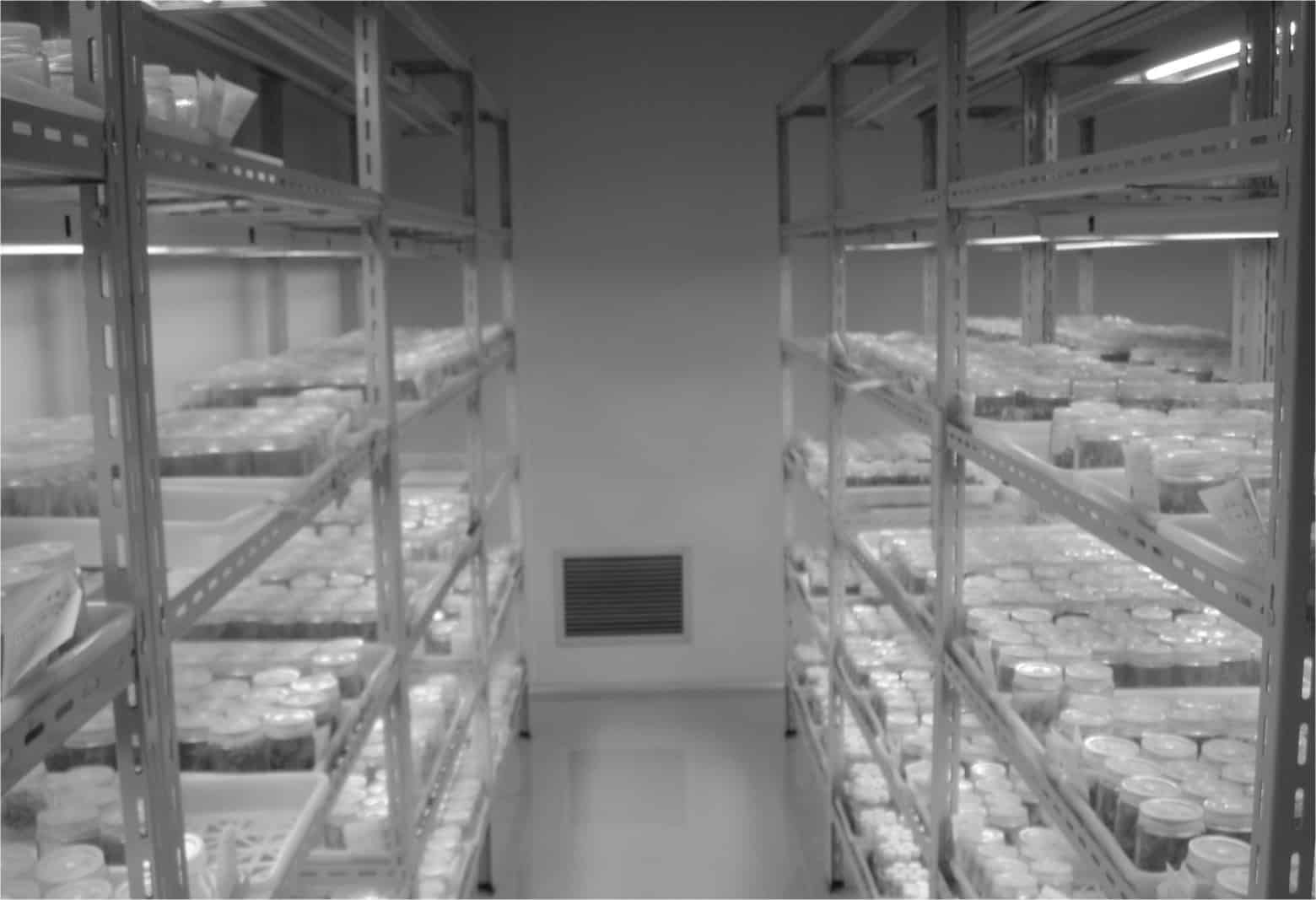 哔咔漫画APP官网进入