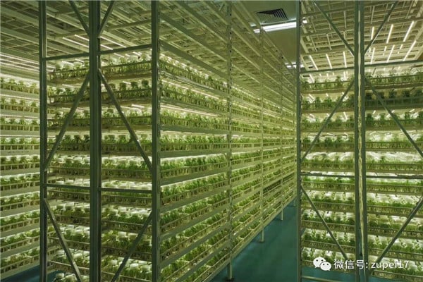 哔咔漫画APP官网进入仪器设备