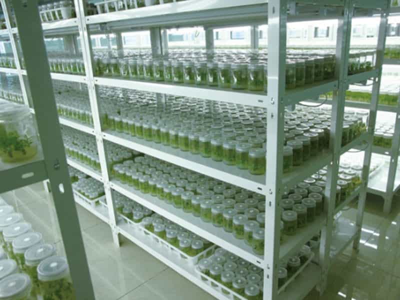 哔咔漫画APP官网进入  哔咔漫画APP官网进入设备