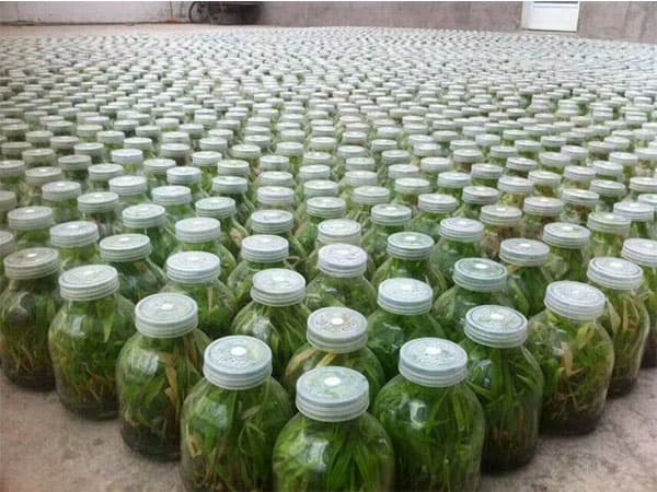 哔咔漫画APP官网进入  哔咔漫画APP官网进入瓶