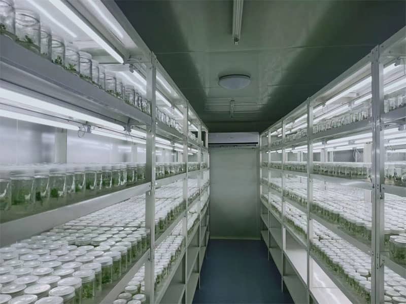 哔咔漫画APP官网进入  哔咔漫画APP官网进入架